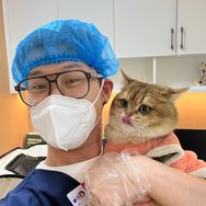 张政team宠物集诊