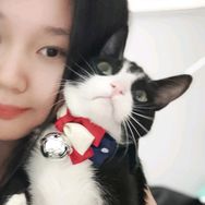 二炮啊