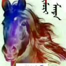 吉林巴雅尔
