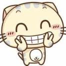 呆呆