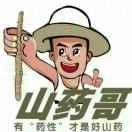 辉县山药哥