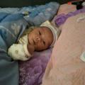 苏田内外装修材料