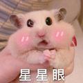 wuli柱柱啊