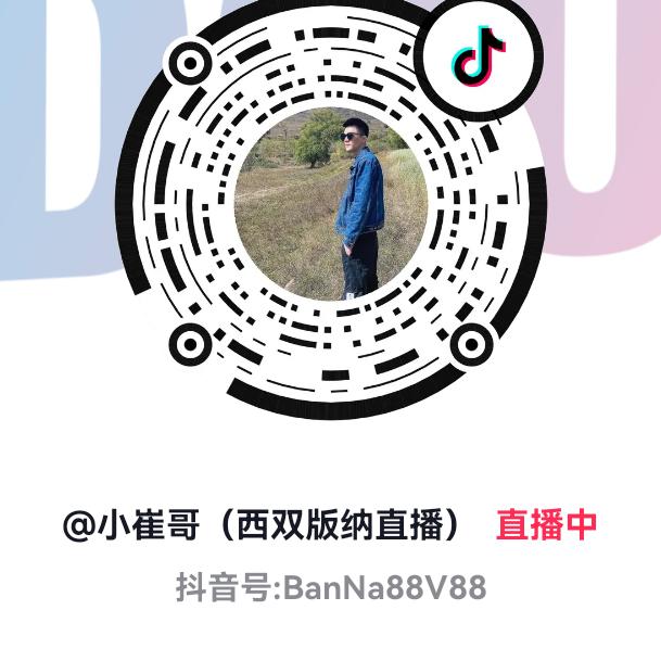 赵哥