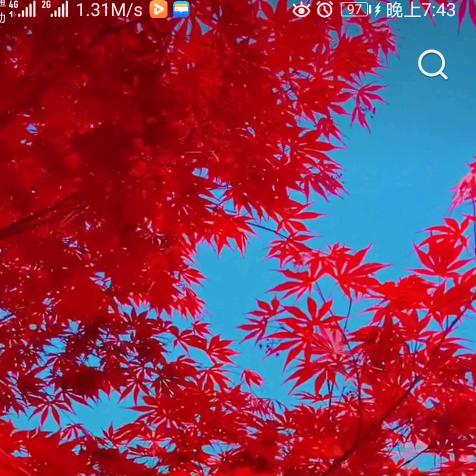 爱玩就玩吧