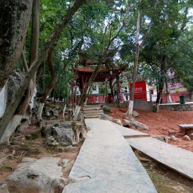 学粮