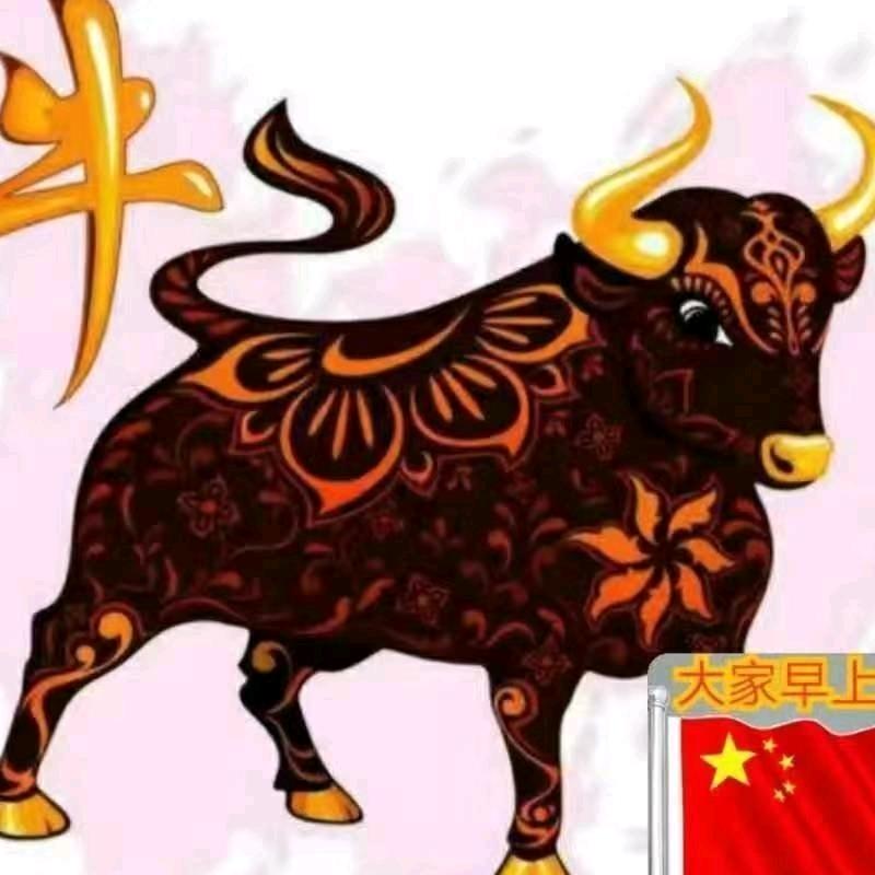 牛的幸福9454238