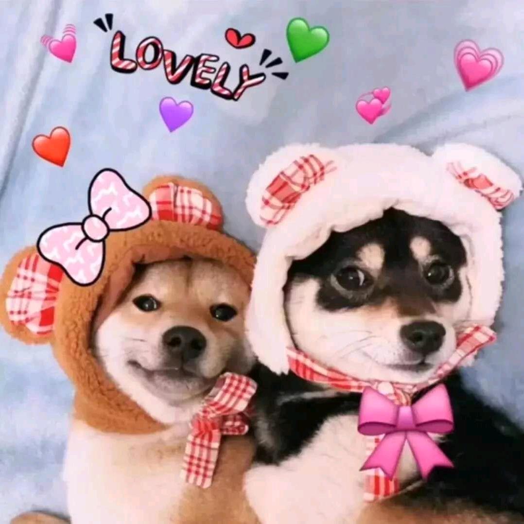 日落。