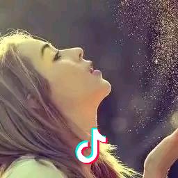 会痛的石头