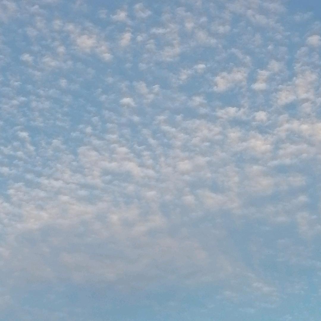 一生无悔