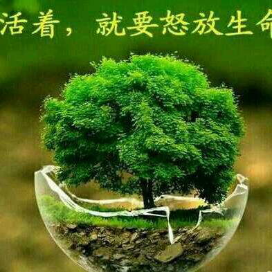 雷雷😊