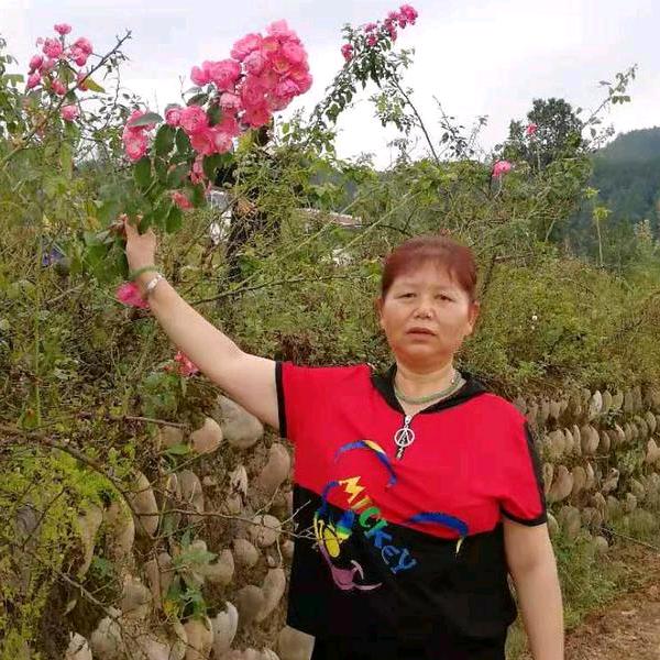 何大姐