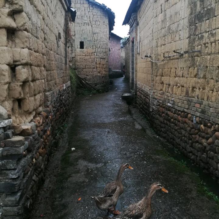 卜宪文