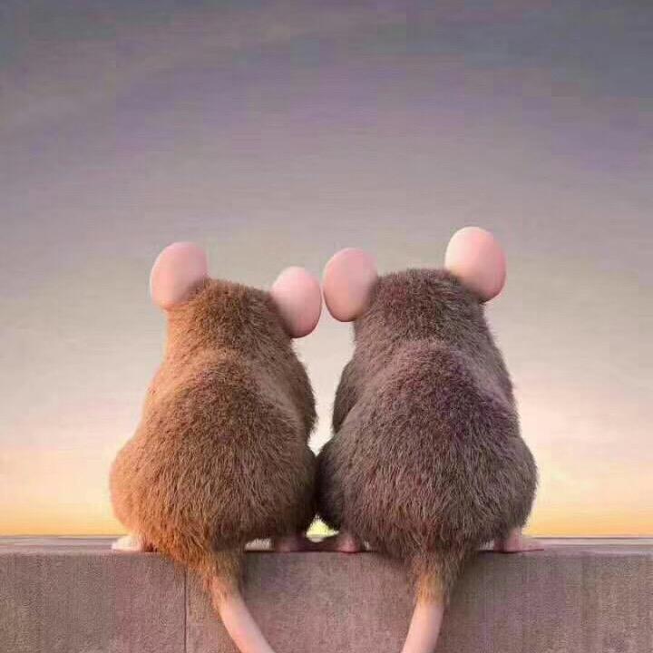 单单单