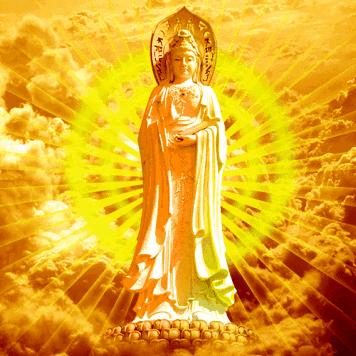 了空🙏