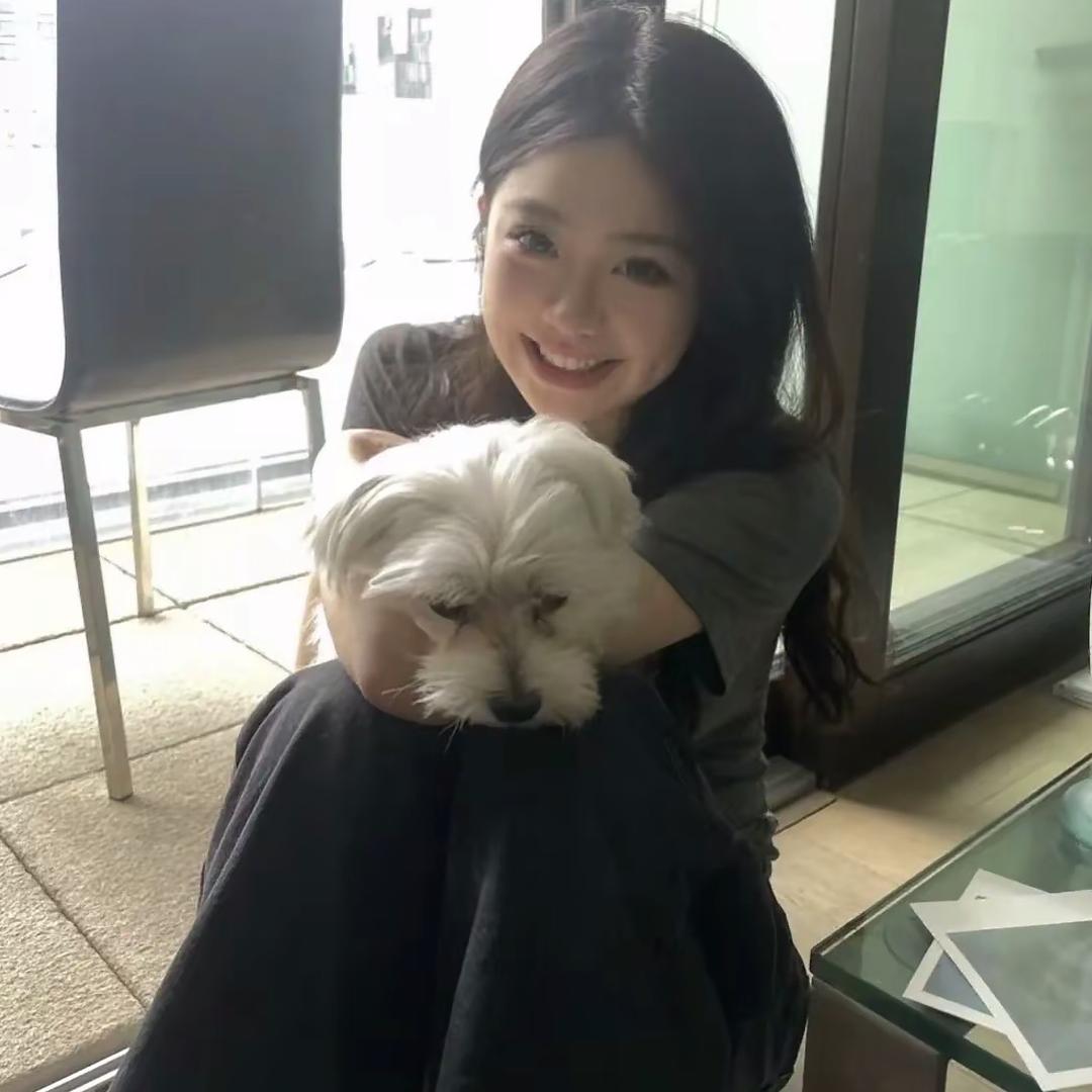 少吃炸食