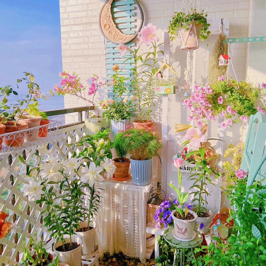 四时花语