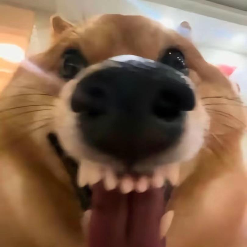 水波蛋