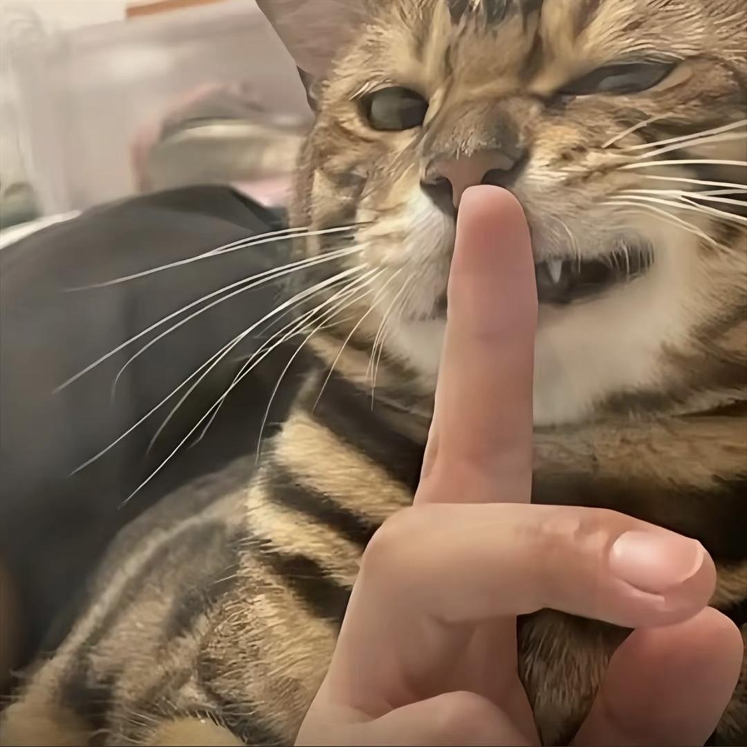 大大大……