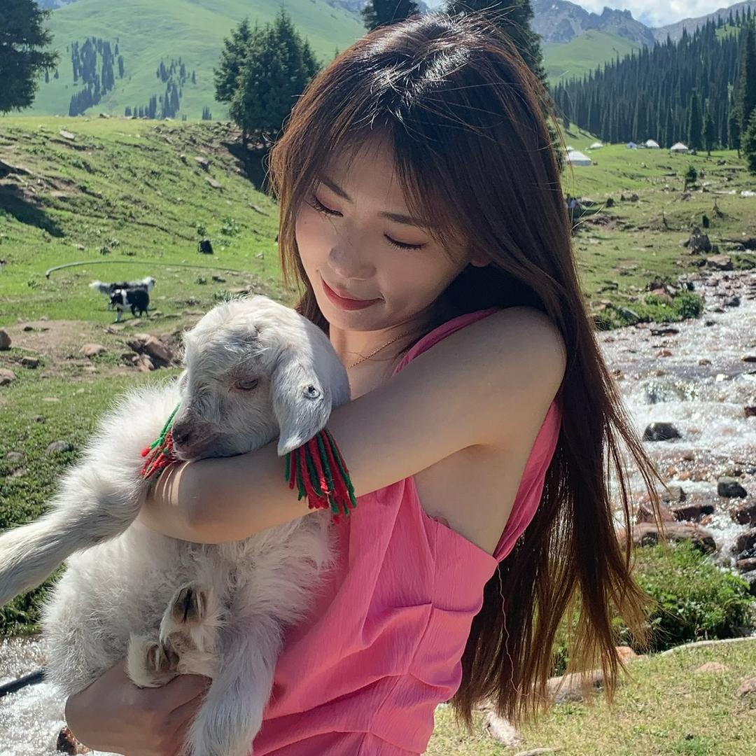 zhuzhu.