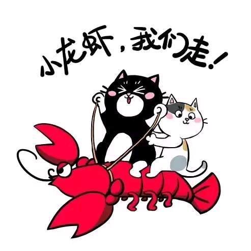 龙龙虾🦞