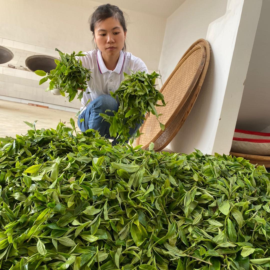勐海怀先茶坊小张
