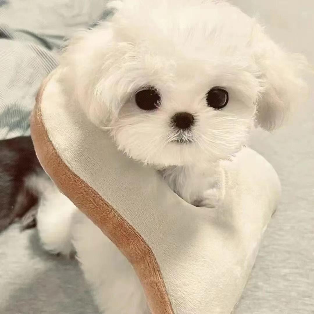 兴潮生活铺