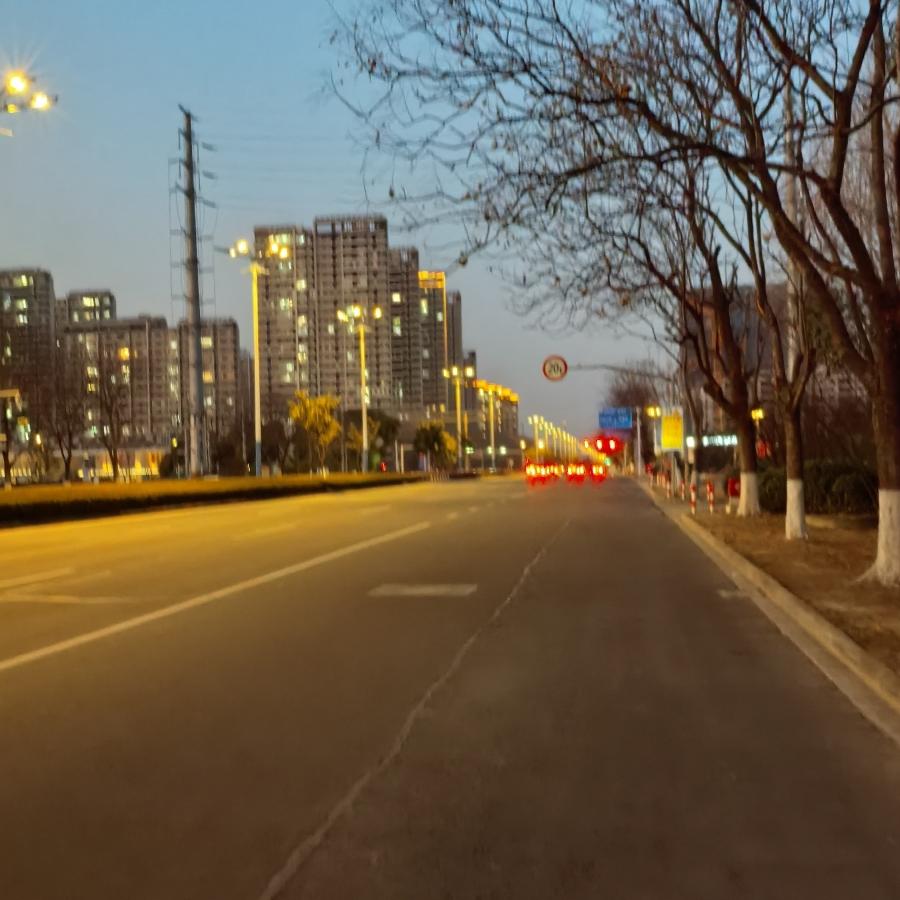 独家失忆