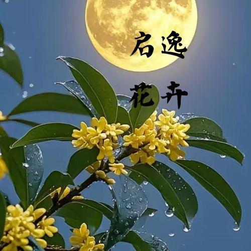 启逸花卉