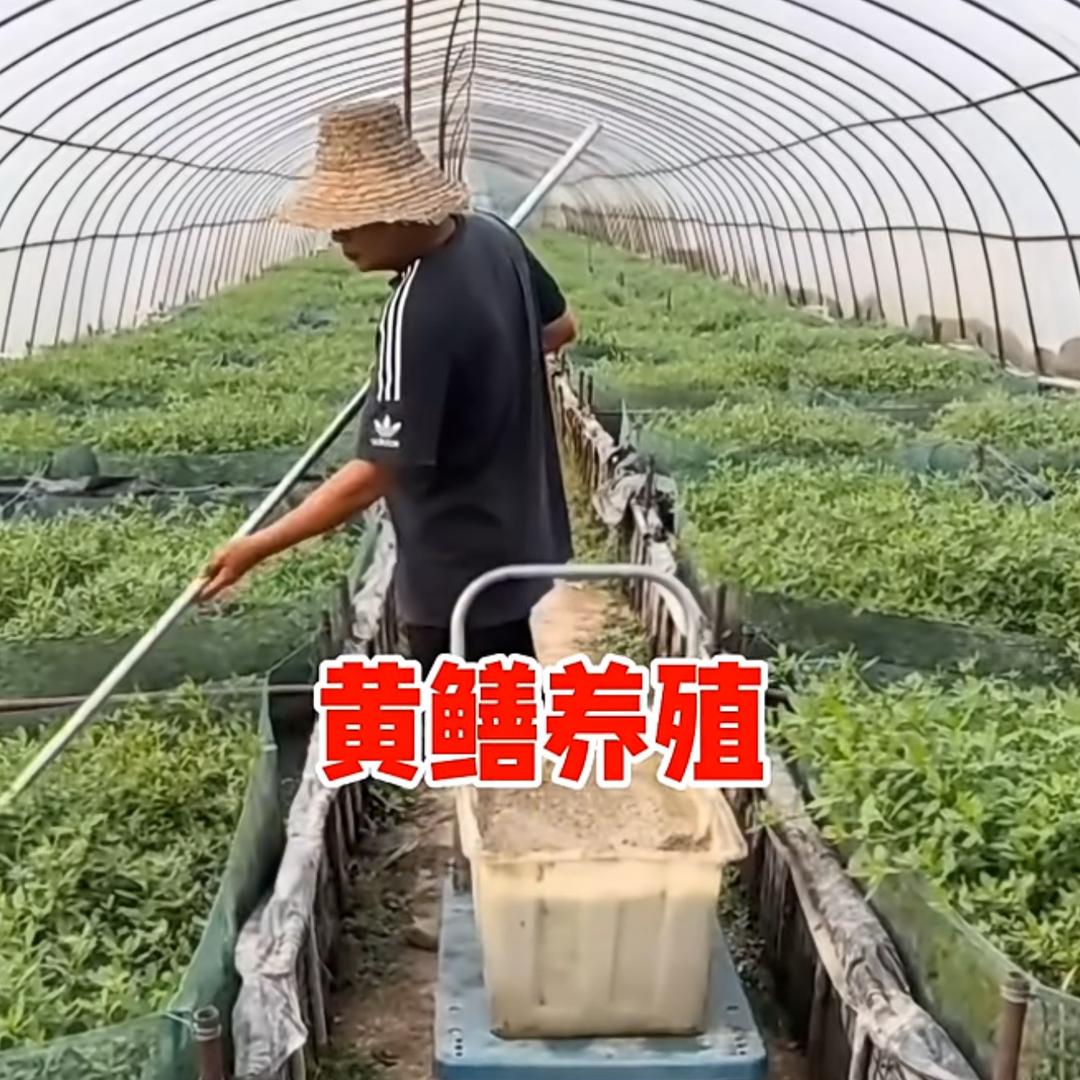 一方圆