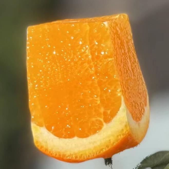 传橙🍊