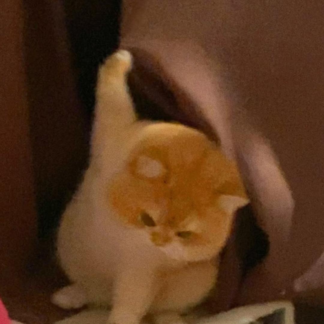 月亮也听见你说🌙