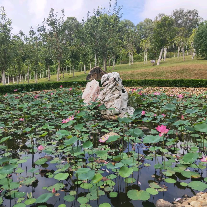 悠闲