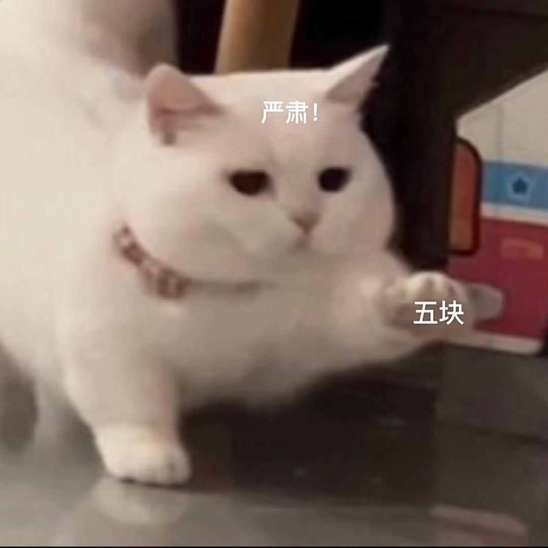 有头发的黄sir