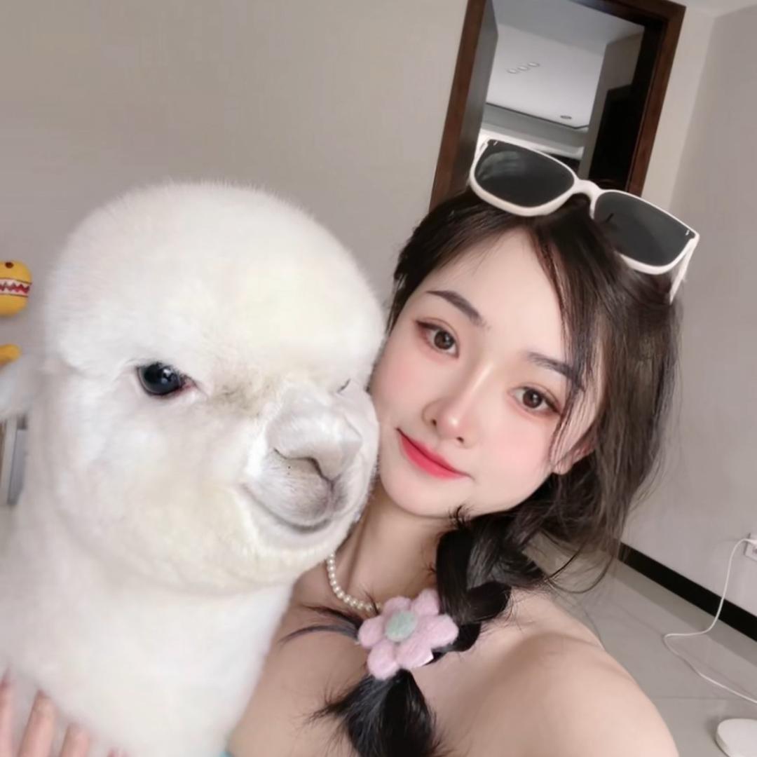 羊驼小柒