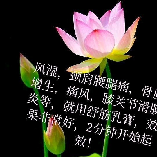 红颜知己