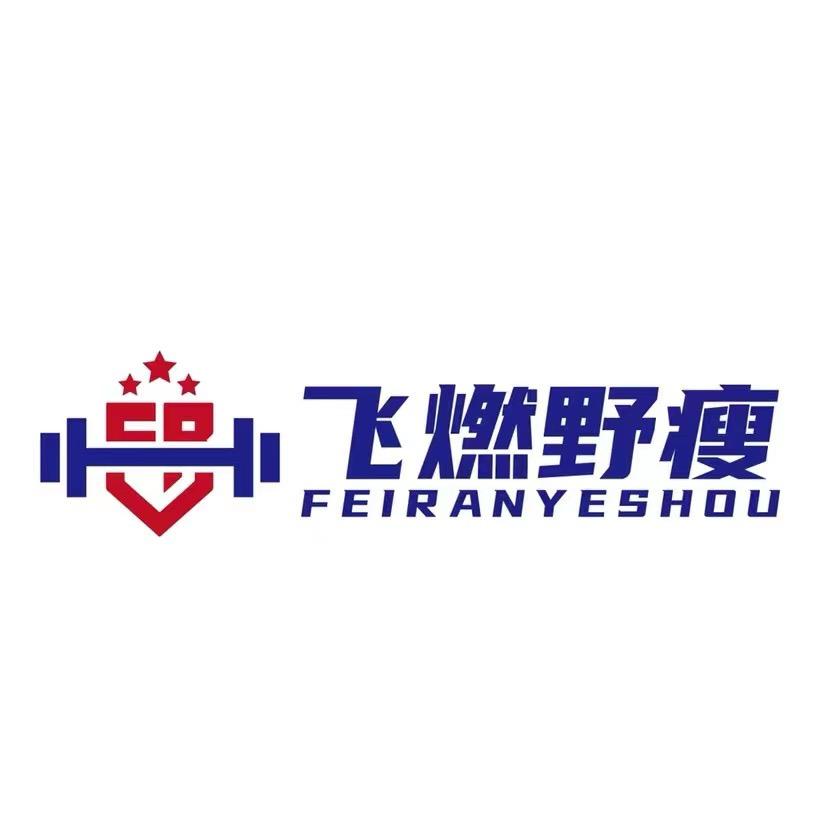 飞燃野瘦陈老师