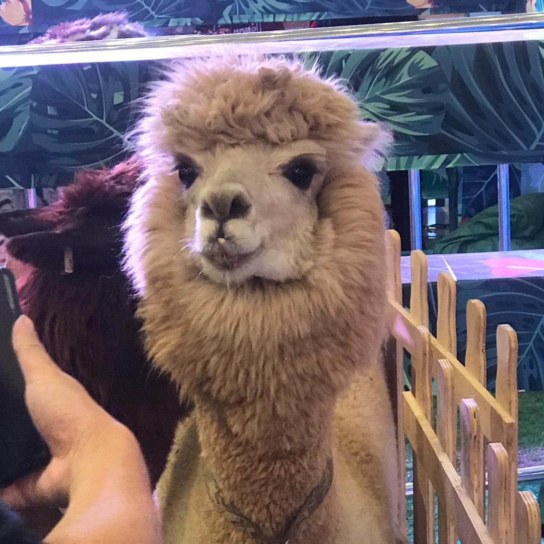 鑫鑫小宝贝