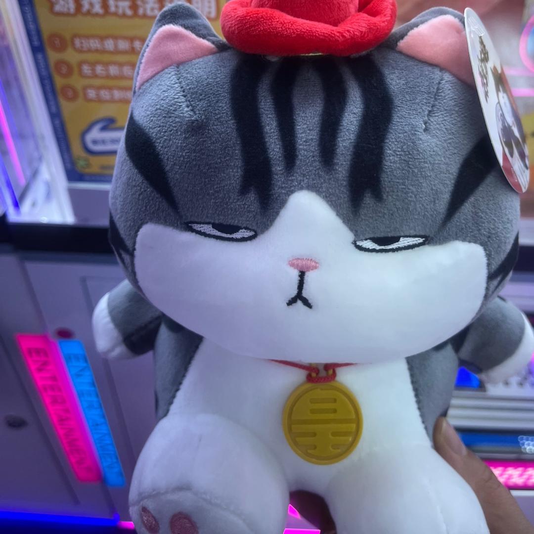 总要干点什么吧🌈