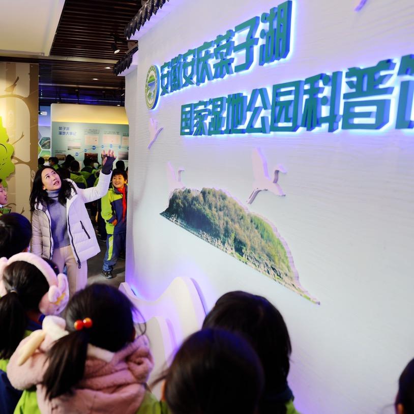 是菜子湖小陈啦