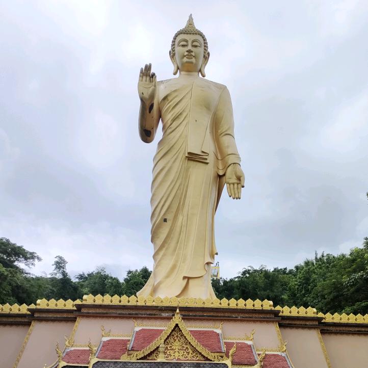余生不在打扰