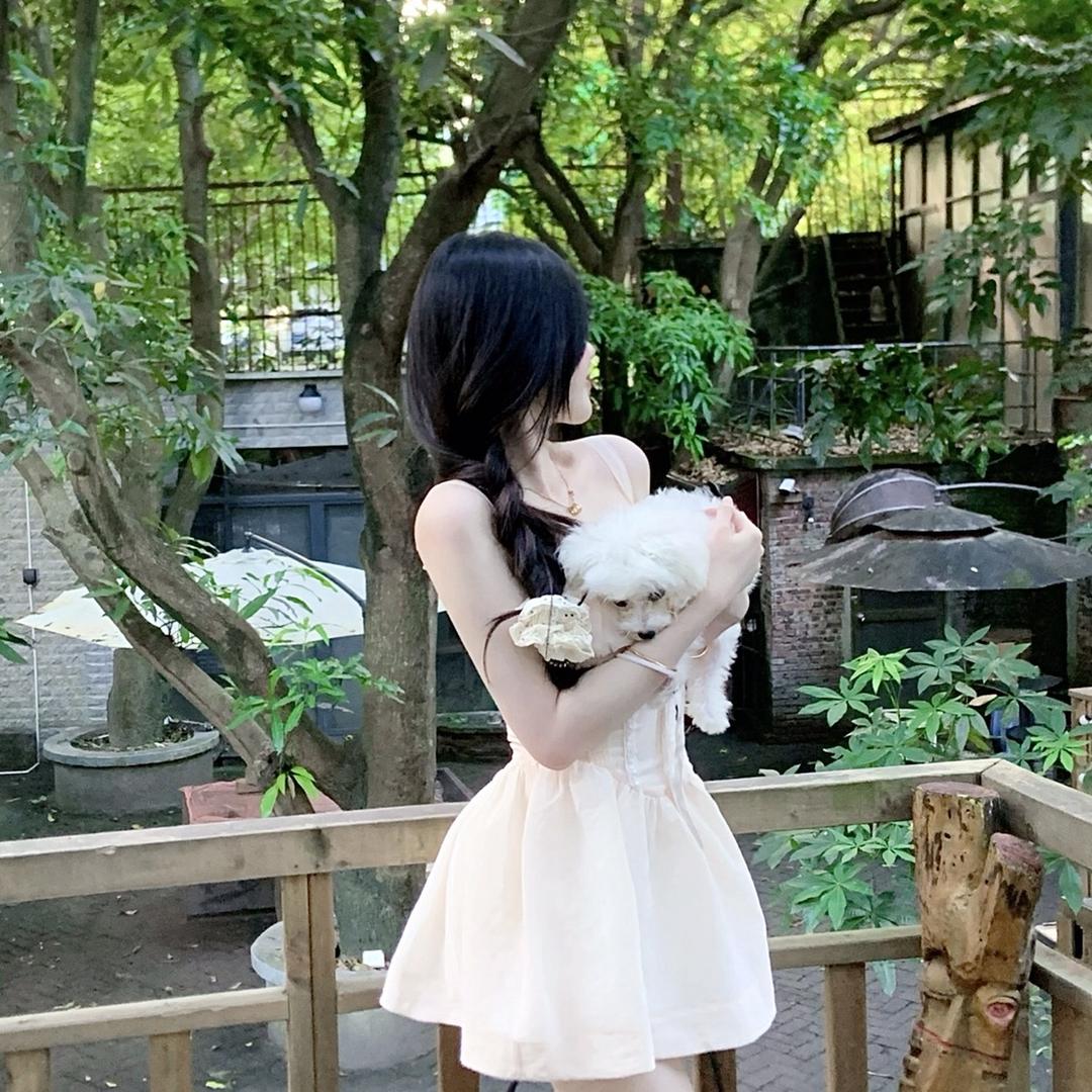 安妮妮妮妮.
