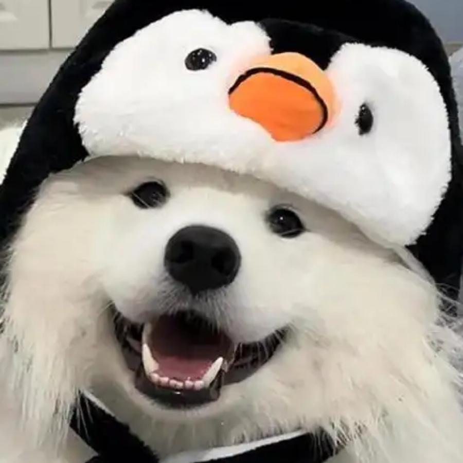 华婷华纬