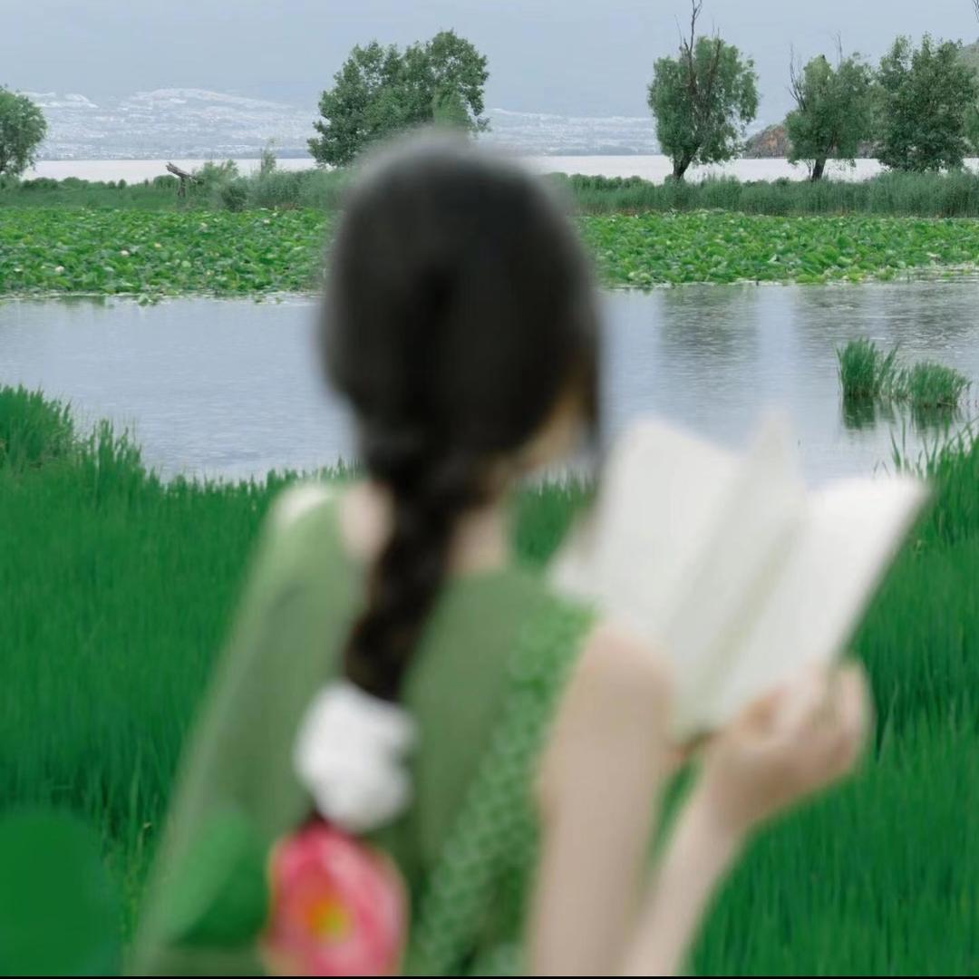 星星姐