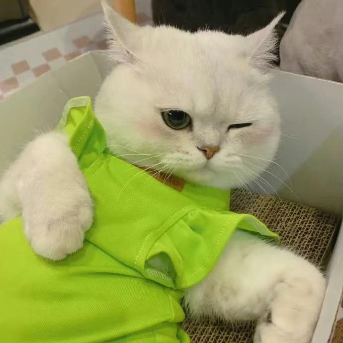 吃鸡蛋不吐壳