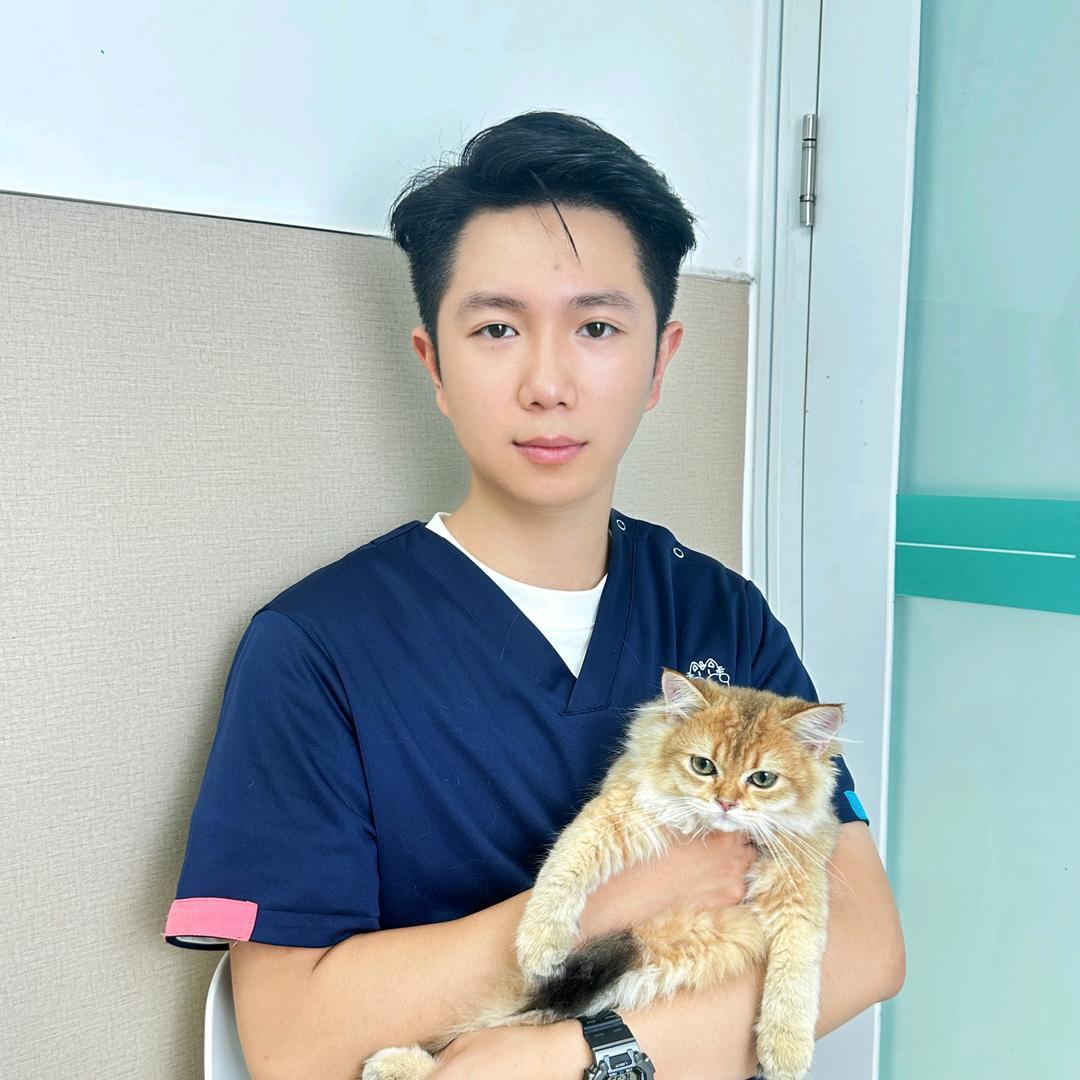 兽医维特苏