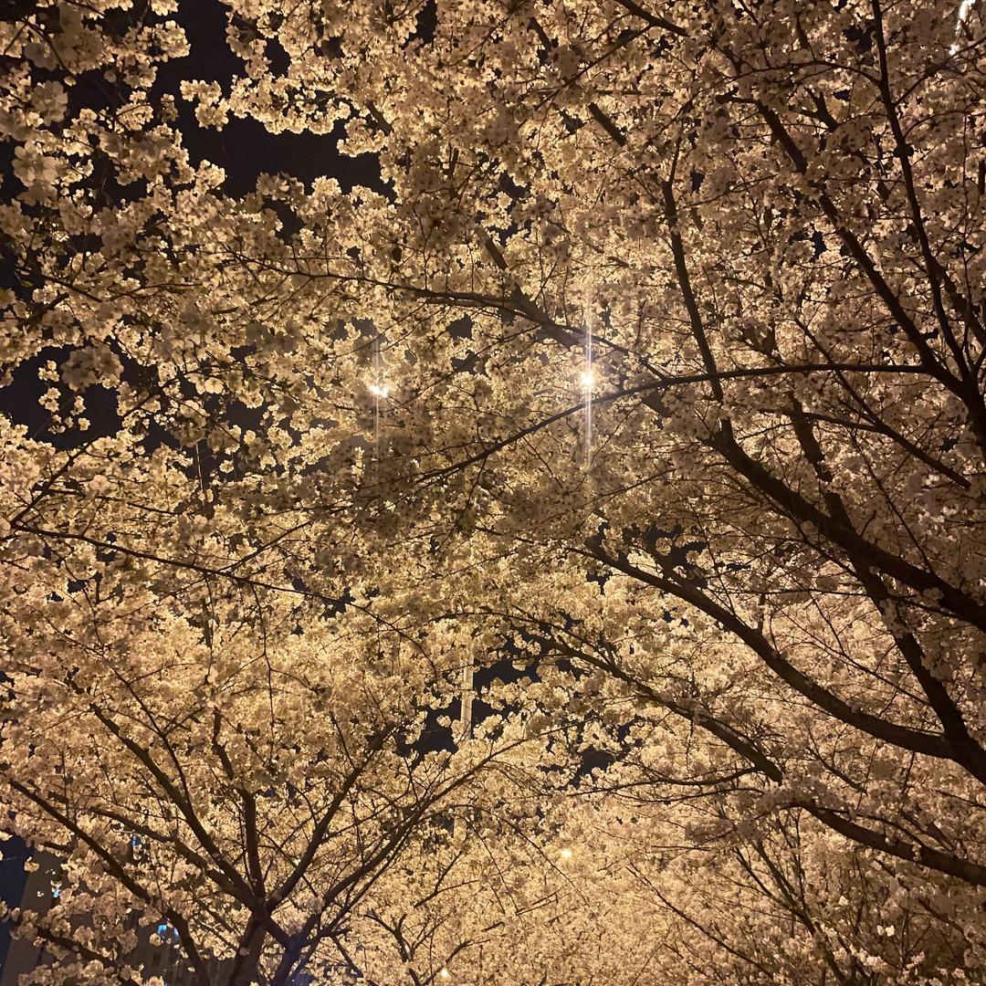 橙子很甜❤