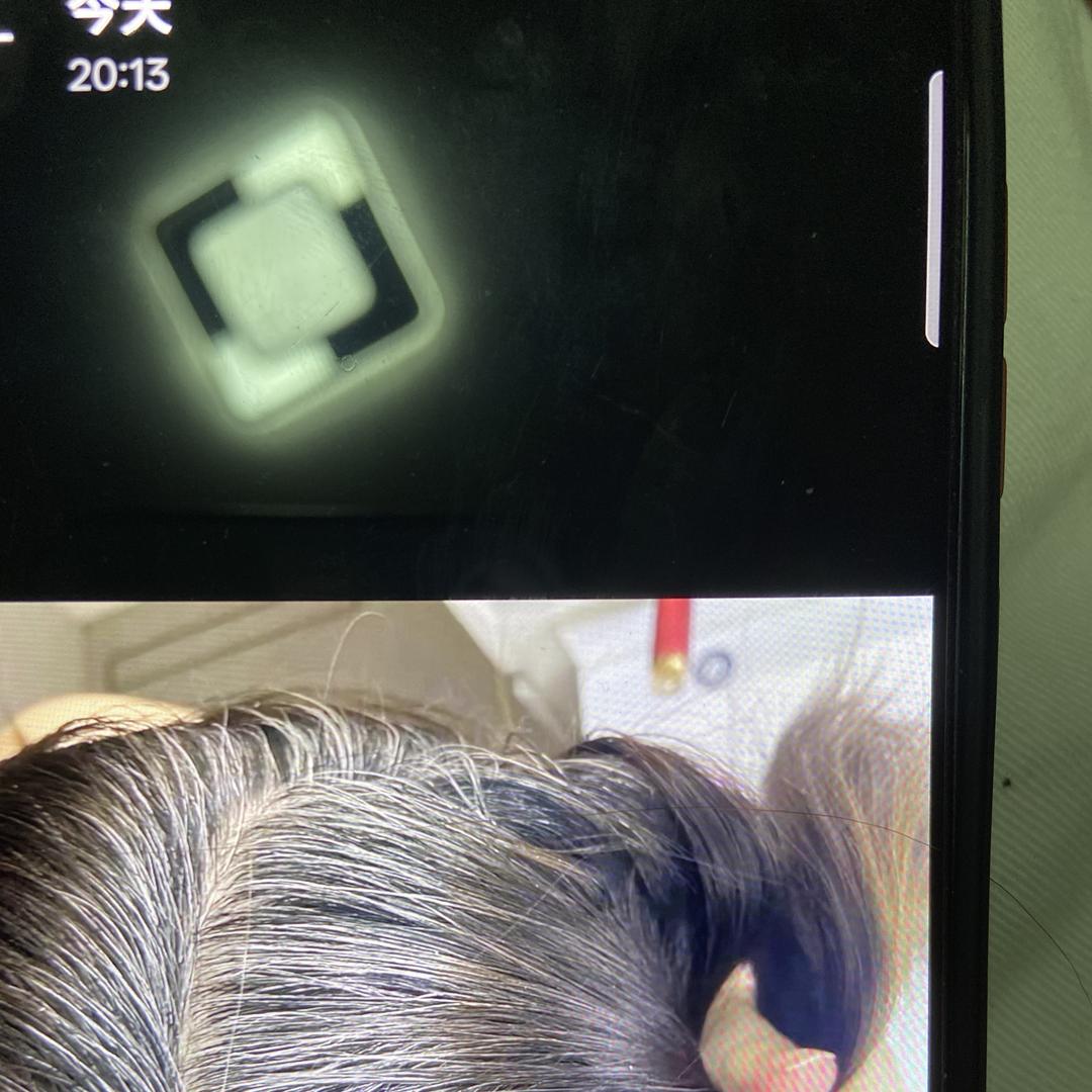 白发转黑发(荣姐2)