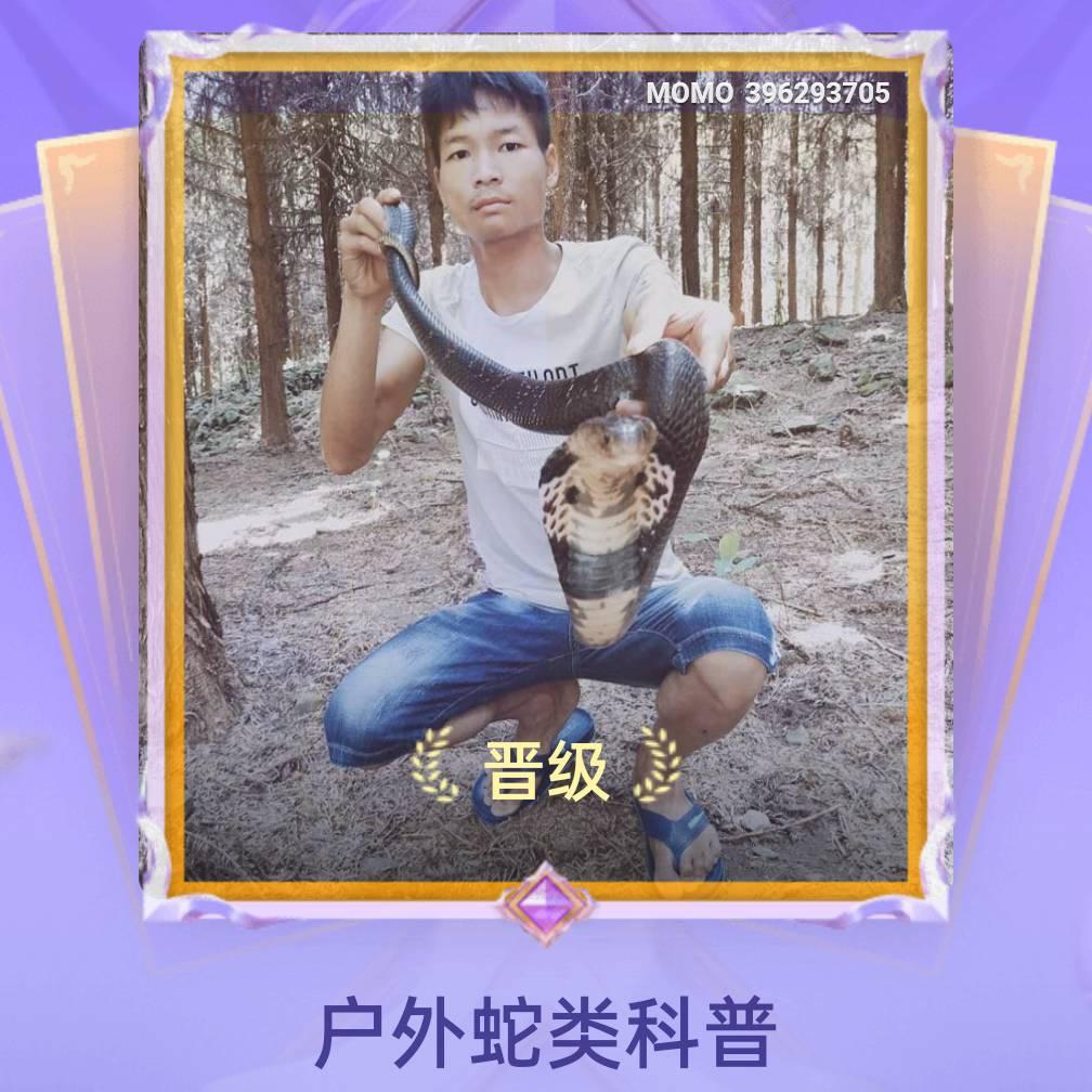 户外小龙