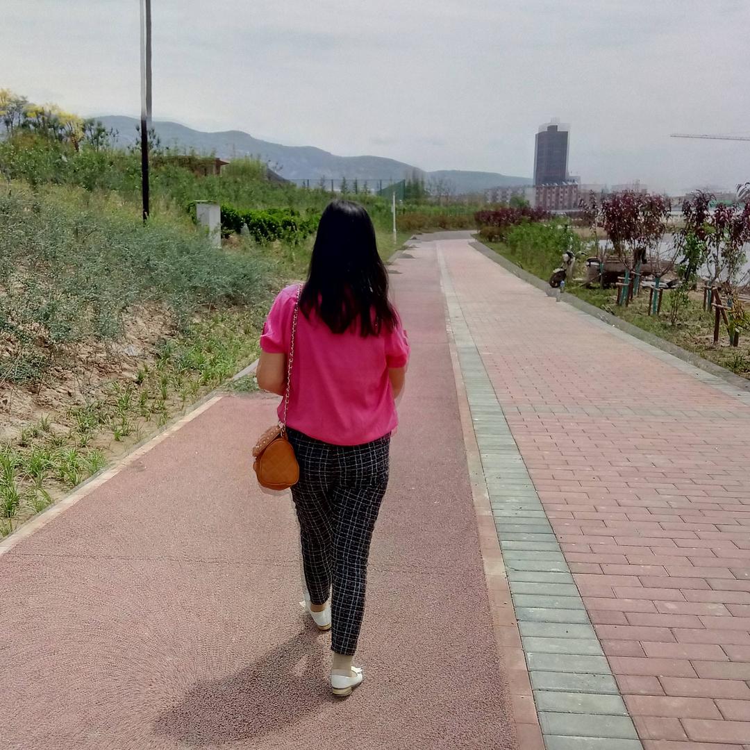 玫瑰精灵4802